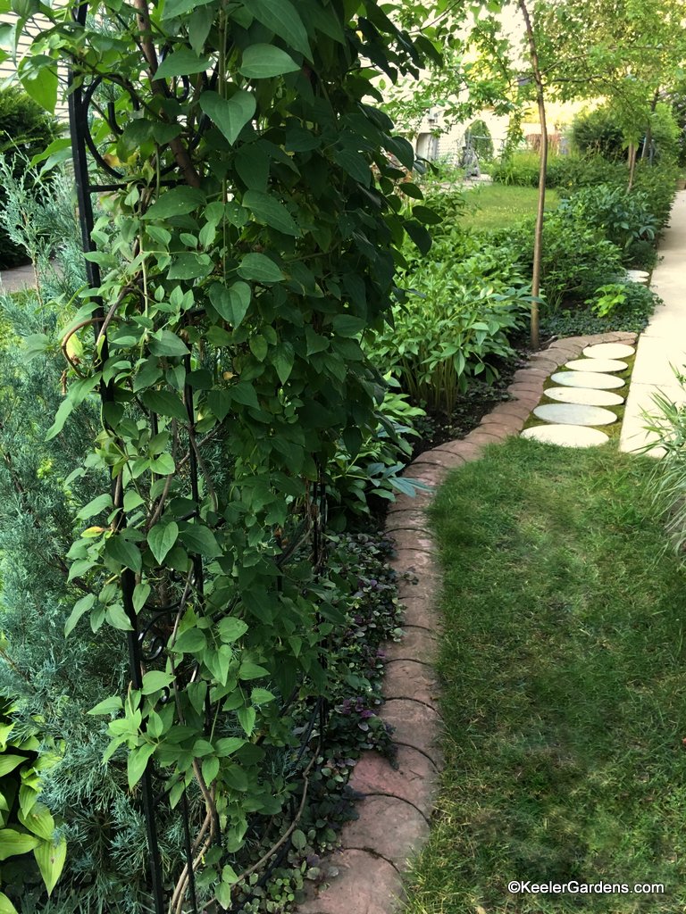 An inviting path through the garden.