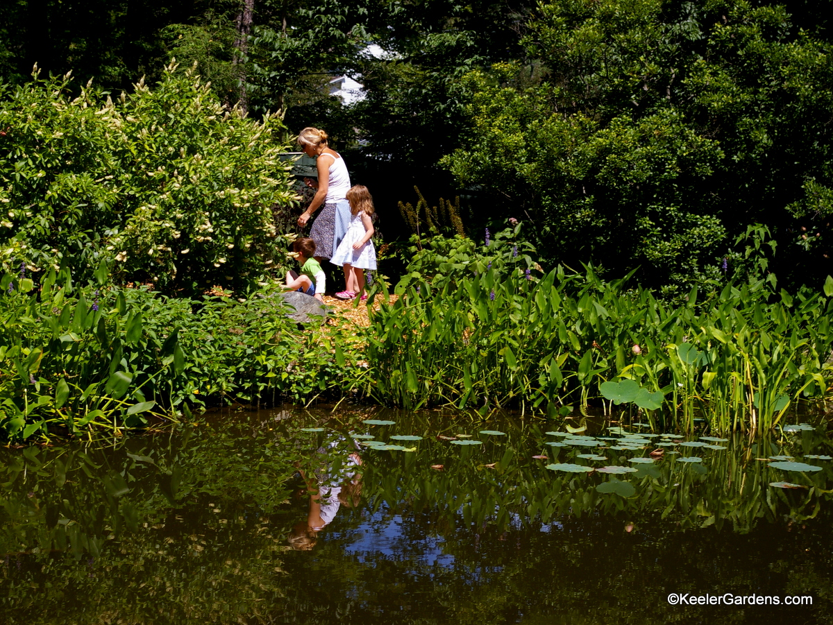 Two children are led along a simple path around a garden pond. Water plants frame the edge of the pond and draw the eye to the background where the children are engrossed in a myriad of plant life and garden inhabitants.
