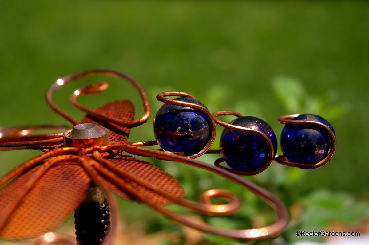 A weathered copper lawn sprinkler that doubles as lawn art in the form of a dragon fly. In its tail are three still polished indigo blue marbles or beads. The background is blurred as the lawn is not the focus but the reflection in the marbles. Upon closer inspection the photographer is revealed in the reflection.