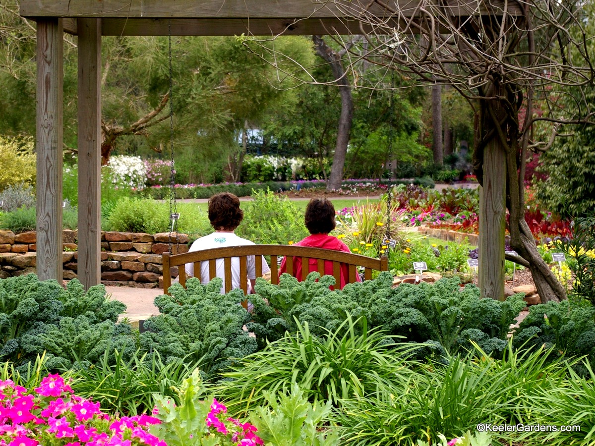A lush garden in Texas with petunias, daylilies, and kale in the foreground with a pergola framing a mother and teenage son on a bench swing hung from the structure. The path in front of them is walled with mixed annual display beds accenting perennial lavender, catmint, and boxwood, as they wind to the right holding red feather celosia as a feature with a lush grassy lawn opening up to evergreens in a woodland garden in the distance.