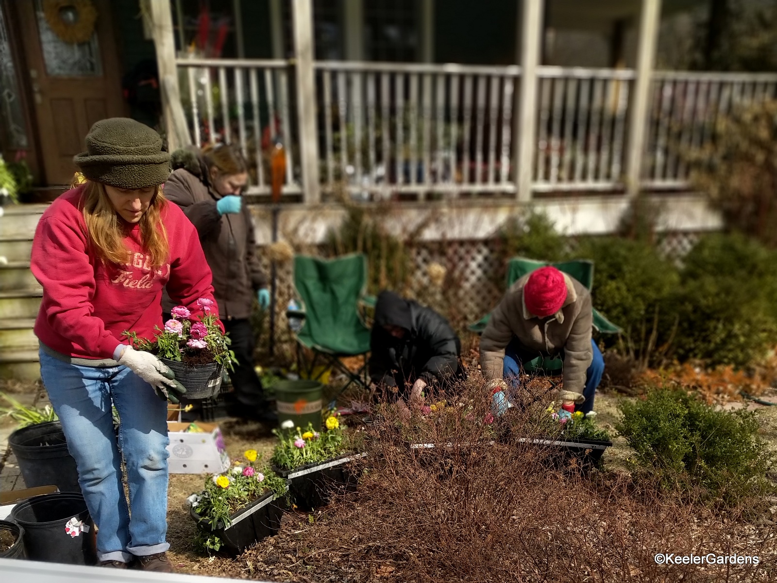 Gina, the lead horticulturist specialist, is in the foreground holding a ranunculus as volunteers sit and neel in the background over pots they are planting with bulbs and other plants.