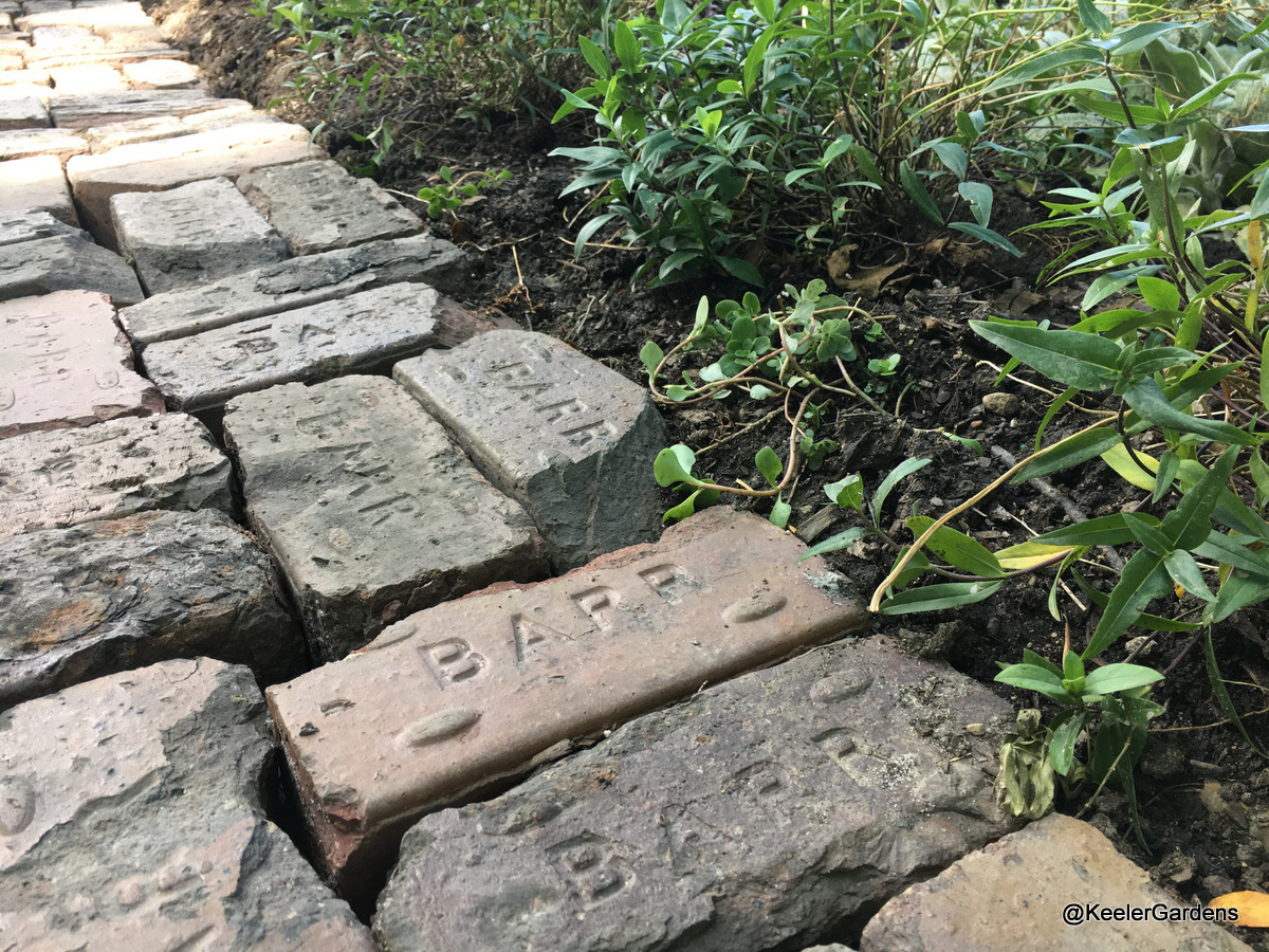 The image focuses on a series of chipped, aged bricks that read “BARR” on the tops. They’re set in a clear pattern forming a walkway alongside the Keeler Gardens’ pollinator habitat.