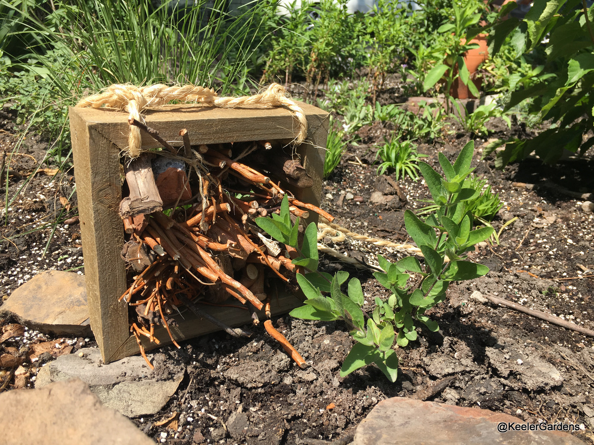 In the foreground is a handmade insect hotel, which is a square, untreated, wooden frame that is filled with bundles of dry branches, dry twigs, and bits of wood. The insect hotel is designed to be hung, with a rope strap on the top, but it is resting on the ground in the Keeler Gardens’ pollinator habitat for this picture.