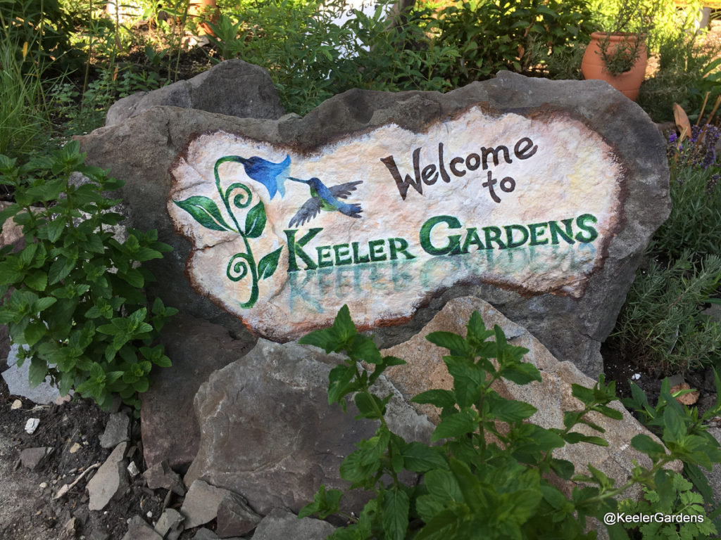 A rock slab stands upright, braced by other rocks and surrounded by foliage in the Keeler Gardens pollinator habitat. The slab is painted partially white, and text painted on it reads “Welcome to,” in black, and “Keeler Gardens” in green. There is also a painting of a blue and green hummingbird hovering next to a blue flower to the left of the words, which is the Keeler Gardens logo.